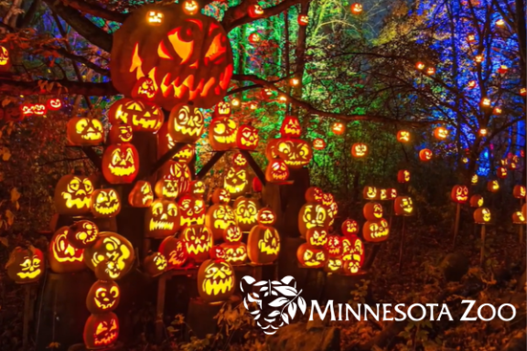 jack-o-lantern spectacular at the Minnesota zoo